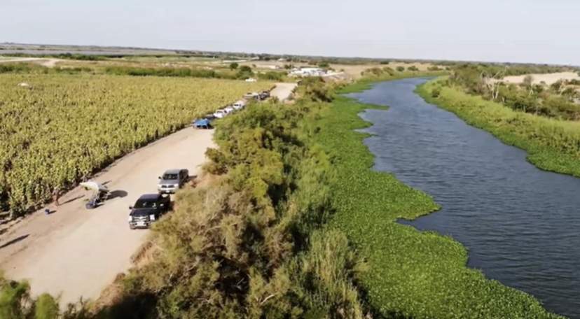 Action packed Rio Grande Valley dove hunt — photo 1