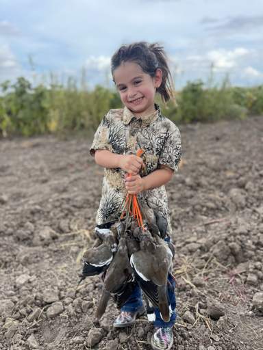 Action packed Rio Grande Valley dove hunt — photo 5