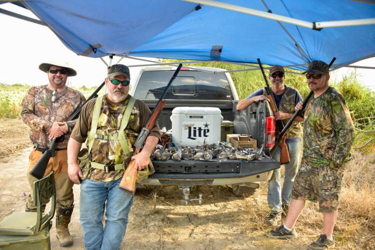 Action packed Rio Grande Valley dove hunt — photo 8