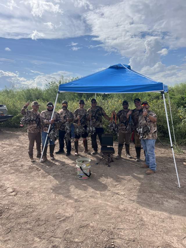Action packed Rio Grande Valley dove hunt — photo 9